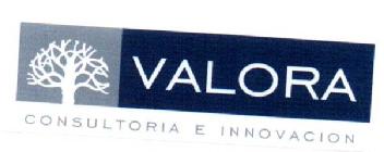 VALORA CONSULTORIA E INNOVACION