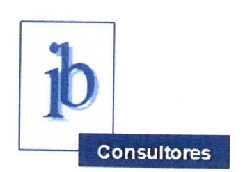 IB CONSULTORES