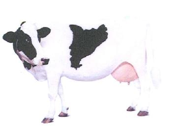 M2615548