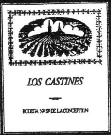 LOS CASTINES BODEGA NA SA DE LA CONCEPCION