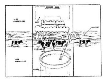 M1264435