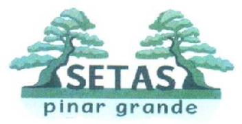 SETAS PINAR GRANDE