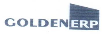 GOLDEN ERP