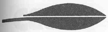 M1298573