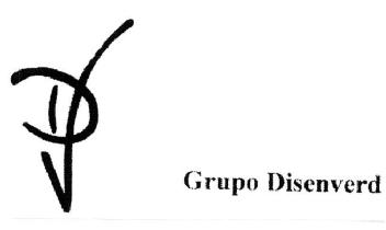 DV GRUPO DISENVERD