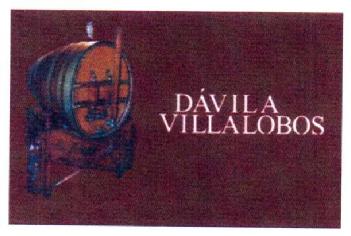 DAVILA VILLALOBOS