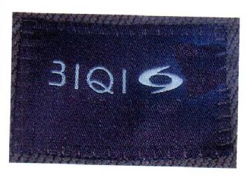 31Q1