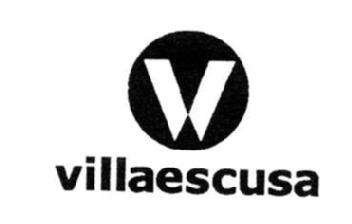 V VILLAESCUSA