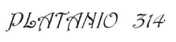 PLATANIO 314