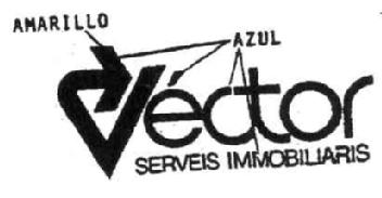 VECTOR SERVEIS IMMOBILIARIS
