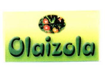 OLAIZOLA
