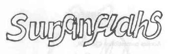 SURFINFLAHS