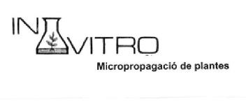 IN VITRO MICROPROPAGACIO DE PLANTES