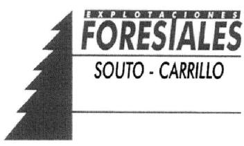 EXPLOTACIONES FORESTALES SOUTO-CARRILLO
