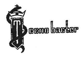 TECNO BACTER