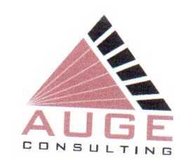 AUGE CONSULTING