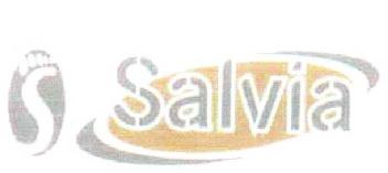 S SALVIA