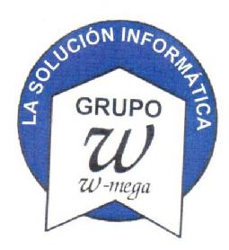LA SOLUCION INFORMATICA. GRUPO W W-MEGA