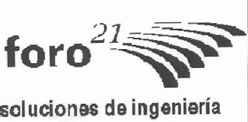 FORO 21 SOLUCIONES DE INGENIERIA