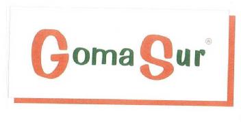 GOMA SUR