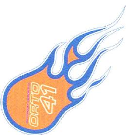 ORTOPEDIA DEPORTIVA ORTO 41