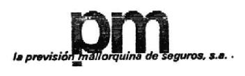 PM LA PREVISION MALLORQUINA DE SEGUROS, S.A