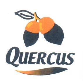 QUERCUS ANOTACIÓN DE DEMANDA