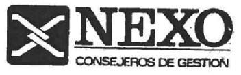 NEXO CONSEJEROS DE GESTION
