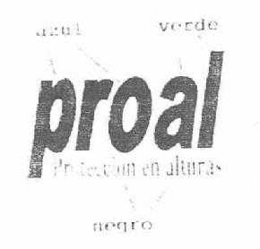 PROAL PROTECCION EN ALTURAS