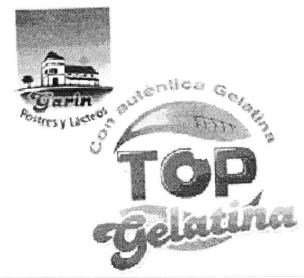GARIN POSTRES Y LACTEOS CON AUTENTICA GELATINA TOP GELATINA