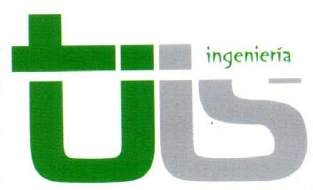 TIIS INGENIERIA