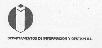 DEPARTAMENTOS DE INFORMACION Y GESTION S.L