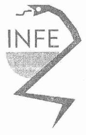 INFES
