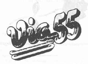 VIA 55