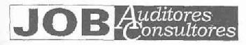 JOB AUDITORES CONSULTORES