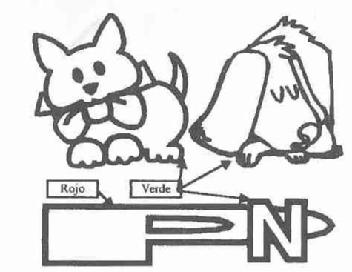 PN