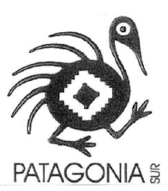 PATAGONIA SUR