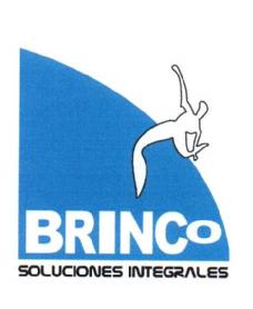 BRINCO SOLUCIONES INTEGRALES