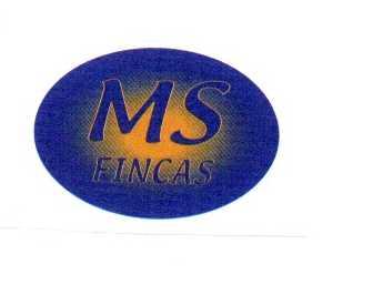 MS FINCAS