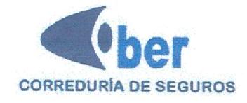 BER CORREDURIA DE SEGUROS