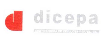 DICEPA DISTRIBUIDORA DE CELULOSA Y PAPEL S.L
