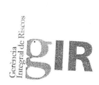 GERENCIA INTEGRAL DE RISCOS GIR