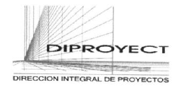 DIPROYECT DIRECCION INTEGRAL DE PROYECTOS