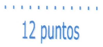 12 PUNTOS