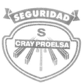 SEGURIDAD S CRAY PROELSA