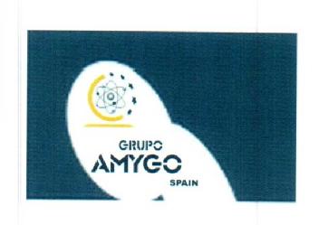 GRUPO AMYGO SPAIN