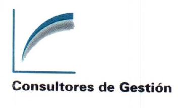 CONSULTORES DE GESTION