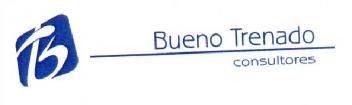 BT BUENO TRENADO CONSULTORES