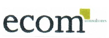 ECOM CONSULTORES