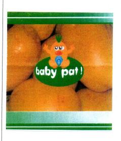 BABY PAT!